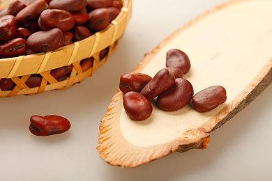 Stadia独占游戏《Outcasters》将与云游戏服务同时关服